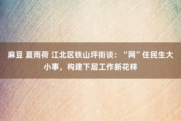 麻豆 夏雨荷 江北区铁山坪街谈：“网”住民生大小事，构建下层工作新花样