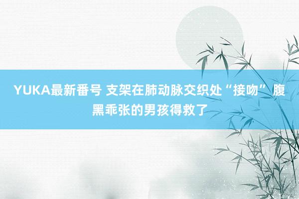 YUKA最新番号 支架在肺动脉交织处“接吻” 腹黑乖张的男孩得救了