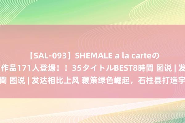 【SAL-093】SHEMALE a la carteの歴史 2008～2011 国内作品171人登場！！35タイトルBEST8時間 图说 | 发达相比上风 鞭策绿色崛起，石柱县打造宇宙生态康养胜地