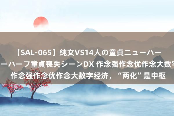 【SAL-065】純女VS14人の童貞ニューハーフ 二度と見れないニューハーフ童貞喪失シーンDX 作念强作念优作念大数字经济，“两化”是中枢