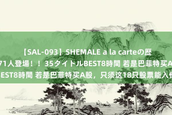 【SAL-093】SHEMALE a la carteの歴史 2008～2011 国内作品171人登場！！35タイトルBEST8時間 若是巴菲特买A股，只须这18只股票能入他眼