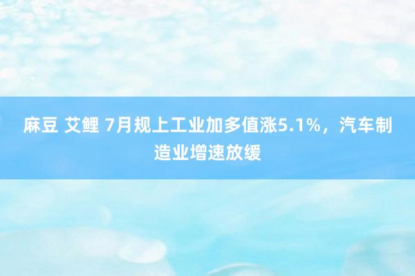 麻豆 艾鲤 7月规上工业加多值涨5.1%，汽车制造业增速放缓