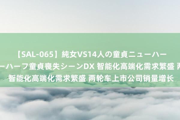 【SAL-065】純女VS14人の童貞ニューハーフ 二度と見れないニューハーフ童貞喪失シーンDX 智能化高端化需求繁盛 两轮车上市公司销量增长