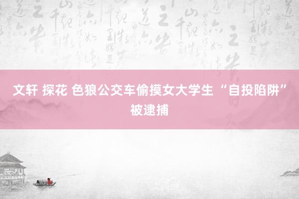 文轩 探花 色狼公交车偷摸女大学生 “自投陷阱”被逮捕