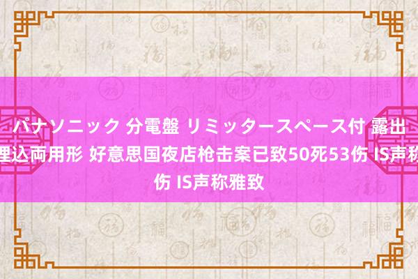 パナソニック 分電盤 リミッタースペース付 露出・半埋込両用形 好意思国夜店枪击案已致50死53伤 IS声称雅致