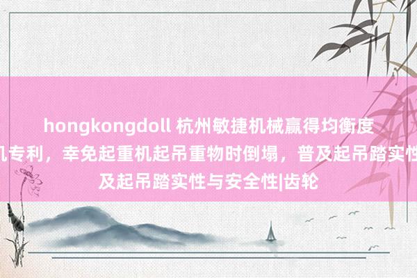 hongkongdoll 杭州敏捷机械赢得均衡度可调治的起重机专利，幸免起重机起吊重物时倒塌，普及起吊踏实性与安全性|齿轮